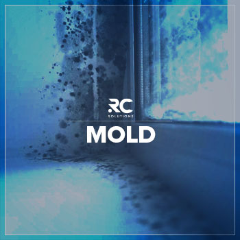 mold-rc-solutions